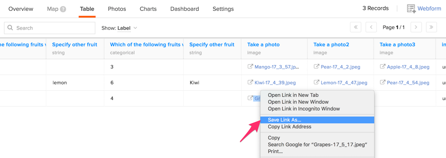 How do I download media files? Ona Data Help Center